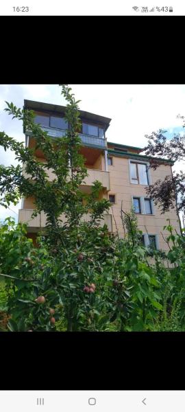 Trabzon Bahçeli Villa